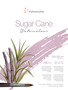 Hahnemühle Sugar Cane Watercolour 12 Sheet Block 9.5x12.5"
