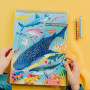 Eeboo Sketchbook Shark