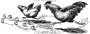 100 Proof Press Rubber Stamp Running Chicken Family