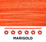 Zebra Mildliner Dual-Tip Stamp Marker Daisy Marigold
