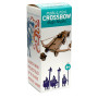 Copernicus Toys Mini Crossbow Kit Copernicus Toys Mini Crossbow Kit