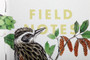 Field Notes Limited Edition Notebooks The Birds and Trees of North America 3 Pack C Ruled