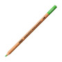 Holbein Watercolor Pencil Permanent Green No.1