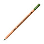 Holbein Watercolor Pencil Sap Green