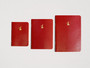 Bieffe Roma Notebook 3.75x5" Red