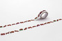 MT Washi Tape 15mm Sausage Dog