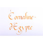 Jacques Herbin 1798 Anniversary Ink 15ml Cornaline d'Egypte