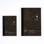 Hobonichi Graph Notebook (A5) 6x8 Hiroko Kubota: Another Night of Falling Star Sparklers
