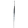Princeton Aqua Elite Synthetic Brush Angle Shader 1/8"