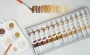 Stapledon Arts Melanin Series Skin Tone Acrylic Paints 12 Colors