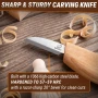 BeaverCraft Wizard Carving Starter Bundle
