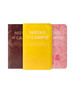 Field Notes Limited Edition Paletas 3 Pack Dot Notebooks - Pack B