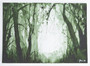 Schmincke Horadam Aquarell Signature Edition 15ml Berliner Spreegrün x Gris
