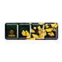 Schmincke Horadam Watercolor 1/2 Pan 20 Set Limited Edition Ginkgo