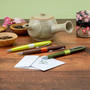 Pilot Limited Edition MR Chanomegumi Ballpoint - Assorted Colors
