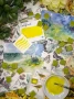 Stoneground Paint Watercolor 1/2 Pan Goldfinch