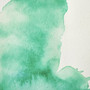 Winsor & Newton Professional Watercolour 14ml Viridian Hue