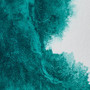 Winsor & Newton Professional Watercolour 14ml Winsor Green (Blue Shade)