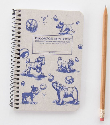 Decomposition Notebook (Ruled) view 4