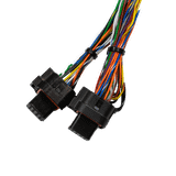 FuelTech FT550 Rotax 300 Harness