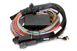 Haltech Elite 2500 + Premium Universal Wire-in Harness Kit
