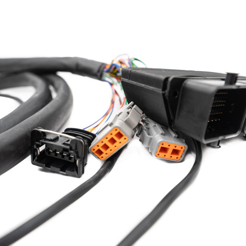 FuelTech FT600 2022+ Polaris RZR Pro R Adapter Harness PNP