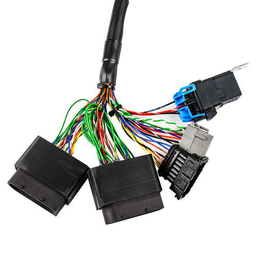 FuelTech FT450 2009 & Older Rotax Harness