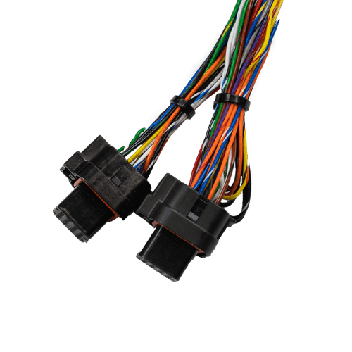 FuelTech FT550 Rotax 300 Harness