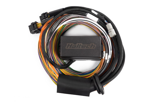 Haltech Elite 1500, 2500 & 2500 T Premium Universal Wire-in Harness - 3M