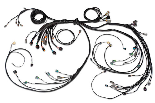 Haltech Nexus R5 LSx DBW Terminated Harness - DBW ready