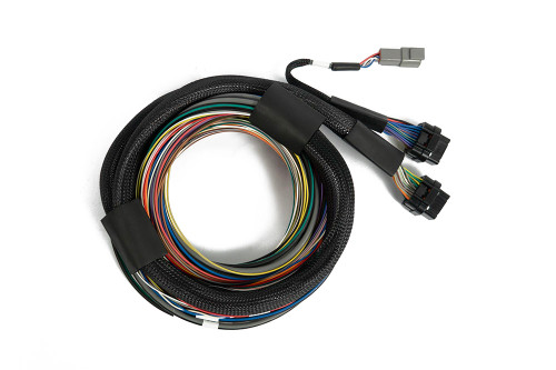 Haltech Nexus S3 / S2 Universal Wire-In Harness - 2.5m (8')