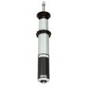 Strange- 79-04 Double Adjustable Front Strut, PAIR