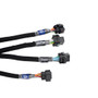 FuelTech FT550 Ford Godzilla Engine Complete Harness