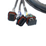 FuelTech FT550 Kawasaki SXR 1500 Racing Harness