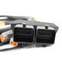 FuelTech FT600 2022+ Polaris RZR Pro R Adapter Harness PNP
