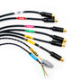 FuelTech FT700 Multimedia M Harness