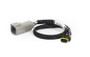 Haltech CAN Adaptor Loom DTM-4 to Molex Mizu-P25 - Suits Holley