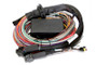 Haltech Elite 2500 + Premium Universal Wire-in Harness Kit