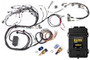 Haltech Elite 2500 + Terminated Harness Kit for Nissan RB Twin Cam With Series 2 (late) ignition type sub harness