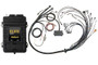 Haltech Elite 2500 + V8 Small/Big Block GM, Ford & Chrysler Terminated Harness Kit