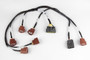 Haltech Elite 2000/2500 Ignition Sub-Harness for Nissan RB Twin Cam (External Ignitor)