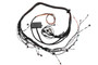 Haltech Elite 2000/2500 Toyota 2JZ Terminated Engine Harness