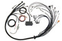 Haltech Elite 2500 V8 Small/Big Block GM, Ford & Chrysler Terminated Harness