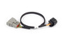 Haltech Nexus Rebel LS - 6-pin DBW adaptor
