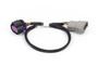 Haltech Nexus Rebel LS - 8-pin DBW adaptor