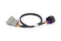 Haltech Nexus Rebel LS - 8-pin DBW adaptor