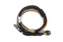 Haltech Nexus T2 / T1 Basic Universal Wire-in Harness