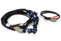 Haltech Nexus Universal V8 - IGN-1A Ford Harness