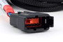 Haltech Nexus Universal V8 - Junior Timer (EV1) Injector Secondary Breakout
