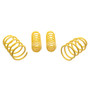 ST Sport-tech Lowering Springs Ford Mustang 5th gen.